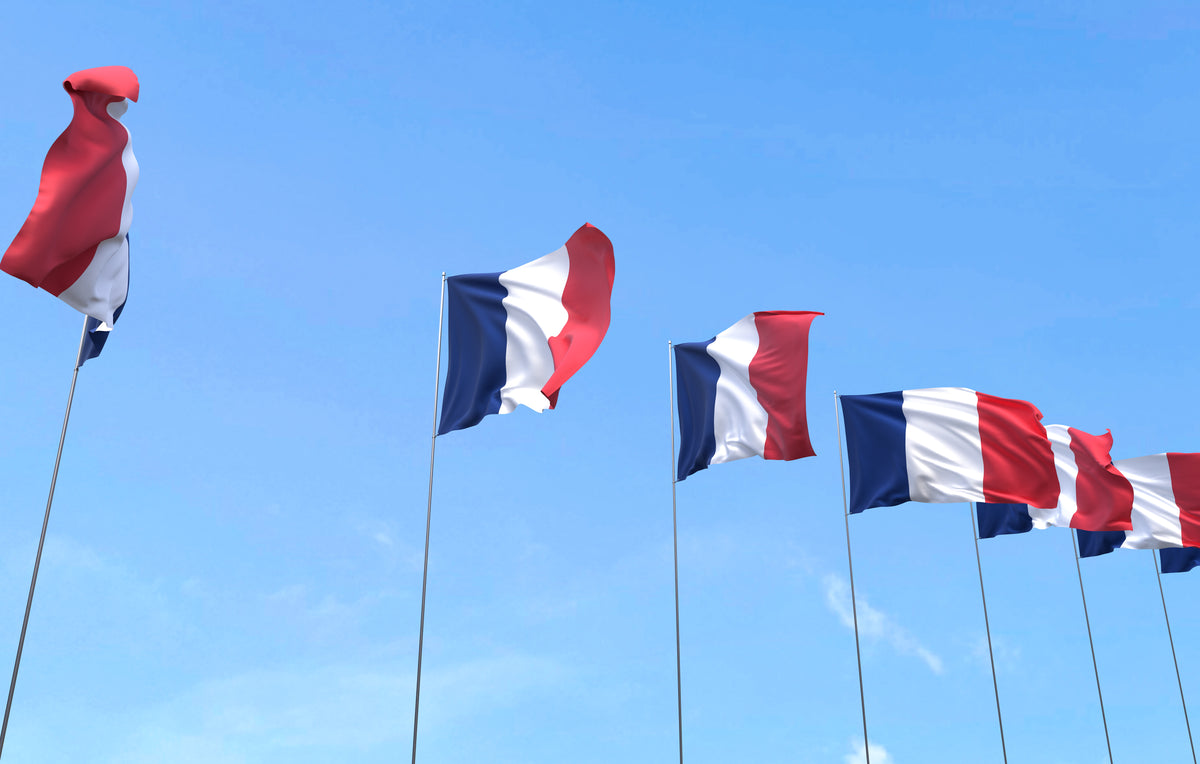 France Bans Nicotine Pouches: What It Means for the Future of Nicotine in Europe